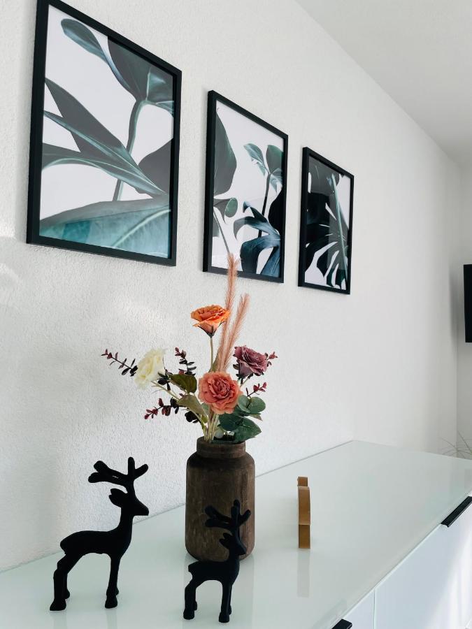 Apartment Zollernalb-apartment Mg